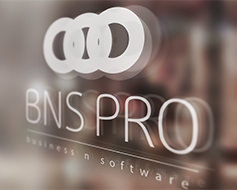 BNSPRO Logo redesign 2015